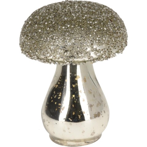 FUNGO VETRO SILVER 8X10CM